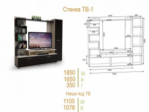 Стенка для гостиной ТВ-1 в Стрежевом - strezevoi.mebel24.online | фото 2