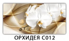 Стол раздвижной Трилогия с фотопечатью Доска D113 в Стрежевом - strezevoi.mebel24.online | фото 13