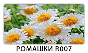 Стол раздвижной Трилогия с фотопечатью Доска D113 в Стрежевом - strezevoi.mebel24.online | фото 15