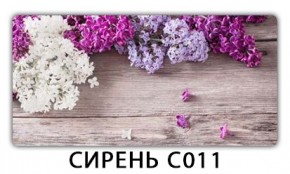 Стол раздвижной Трилогия с фотопечатью Доска D113 в Стрежевом - strezevoi.mebel24.online | фото 16