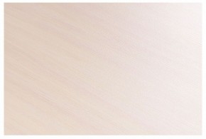 Стол-трансформер Престиж в Стрежевом - strezevoi.mebel24.online | фото 8