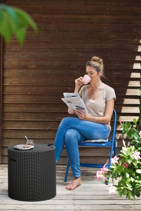 Столик-холодильник Кул-Стул (Cool stool) графит в Стрежевом - strezevoi.mebel24.online | фото 1