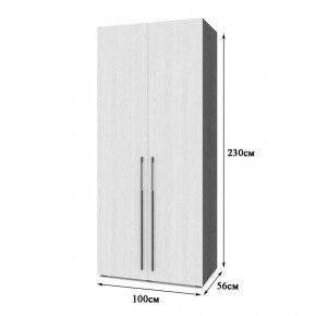 СТОУН С22 Шкаф 2-х створчатый (анкор темный/анкор светлый) в Стрежевом - strezevoi.mebel24.online | фото 2