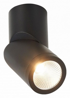 Светильник на штанге ST-Luce ST650 ST650.442.10 в Стрежевом - strezevoi.mebel24.online | фото 2