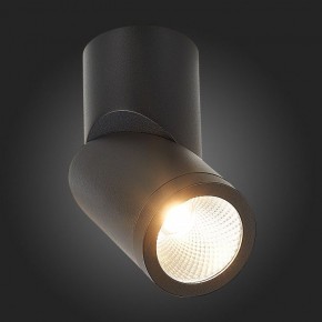 Светильник на штанге ST-Luce ST650 ST650.442.10 в Стрежевом - strezevoi.mebel24.online | фото 6