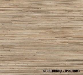 ТОМИЛЛА Кухонный гарнитур Прайм 4 (900*2000 мм ) в Стрежевом - strezevoi.mebel24.online | фото 6