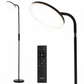 Торшер Citilux SOLO CL804061 в Стрежевом - strezevoi.mebel24.online | фото 2