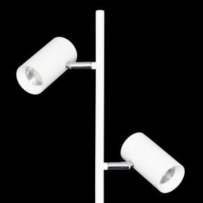 Торшер Citilux Twin CL809010N в Стрежевом - strezevoi.mebel24.online | фото 6