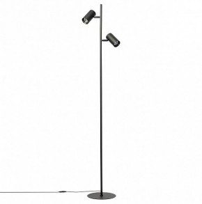Торшер Citilux Twin CL809011N в Стрежевом - strezevoi.mebel24.online | фото