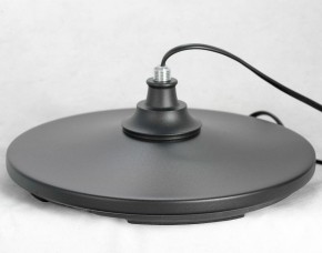 Торшер Lussole Greene LSP-0572 в Стрежевом - strezevoi.mebel24.online | фото 4