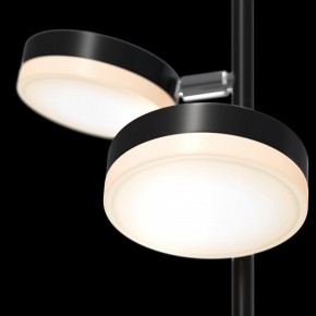 Торшер Maytoni Fad MOD070FL-L12B3K в Стрежевом - strezevoi.mebel24.online | фото