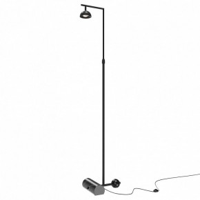 Торшер Maytoni Pikant MOD372FL-L10B3K в Стрежевом - strezevoi.mebel24.online | фото