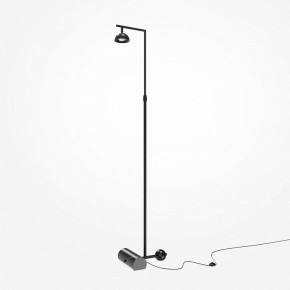 Торшер Maytoni Pikant MOD372FL-L10B3K в Стрежевом - strezevoi.mebel24.online | фото 2