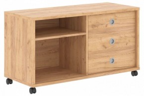 Тумба комбинированная Born B 202A в Стрежевом - strezevoi.mebel24.online | фото