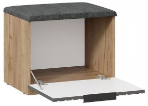 Тумбочка для обуви Хилтон Исп 2.1 в Стрежевом - strezevoi.mebel24.online | фото 2