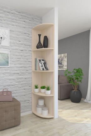 Угловой элемент ЛДСП 1 кат. в Стрежевом - strezevoi.mebel24.online | фото 4
