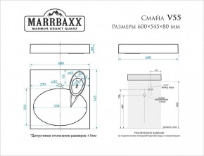 Умывальник над стиральной машиной (600*545*80) Смайл V55D1 (белый) с кронштейном без сифона (V55D1) в Стрежевом - strezevoi.mebel24.online | фото 2